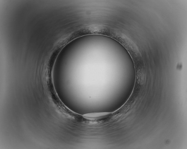 X0000097970740200803241235