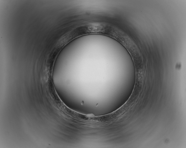 X0000097970741200803241235