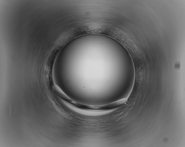 X0000097970742200803241235