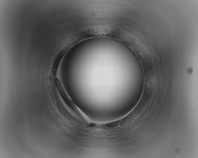 X0000097970743200803241235