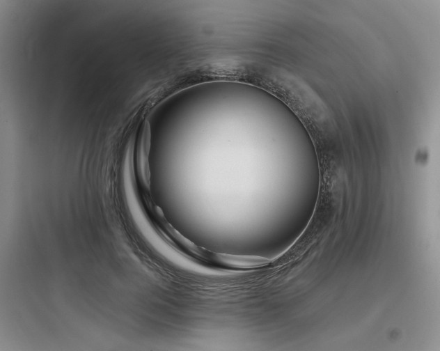 X0000097970744200803241235