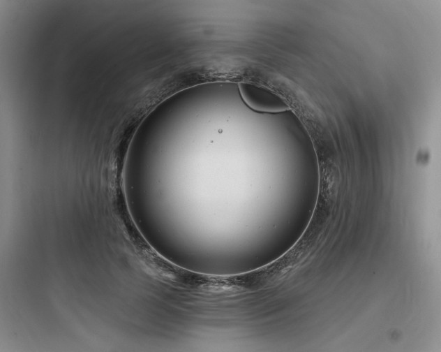 X0000097970745200803241235