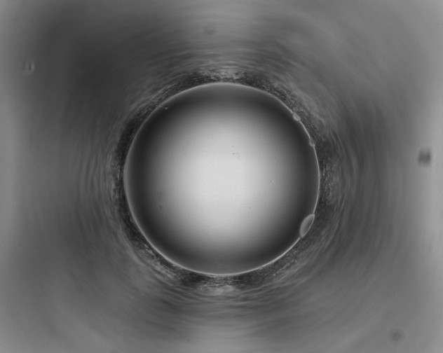 X0000097970747200803241235