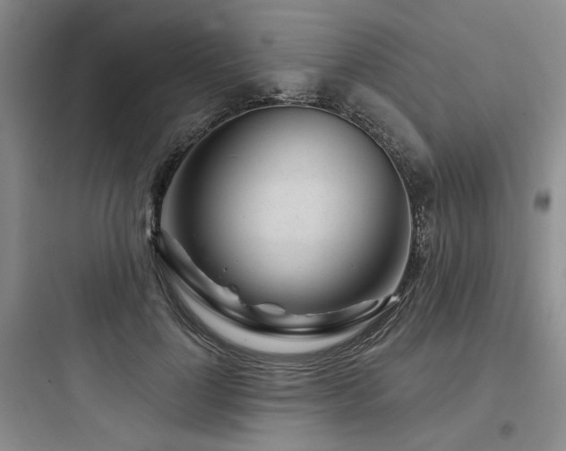 X0000097970748200803241235