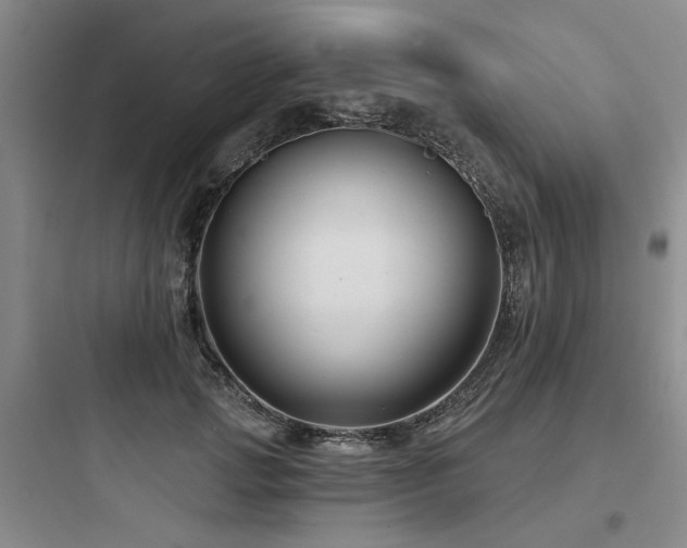 X0000097970749200803241235