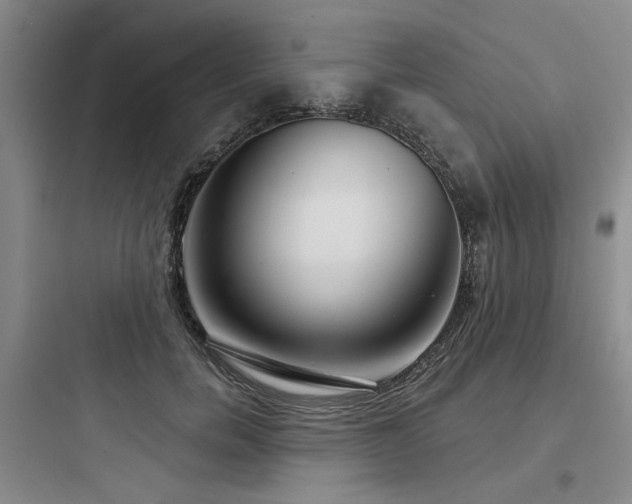 X0000097970750200803241235