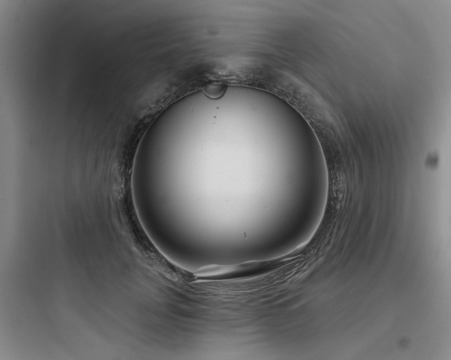 X0000097970751200803241235