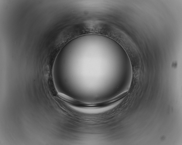 X0000097970752200803241235
