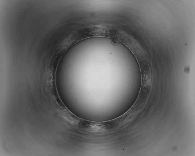 X0000097970753200803241235