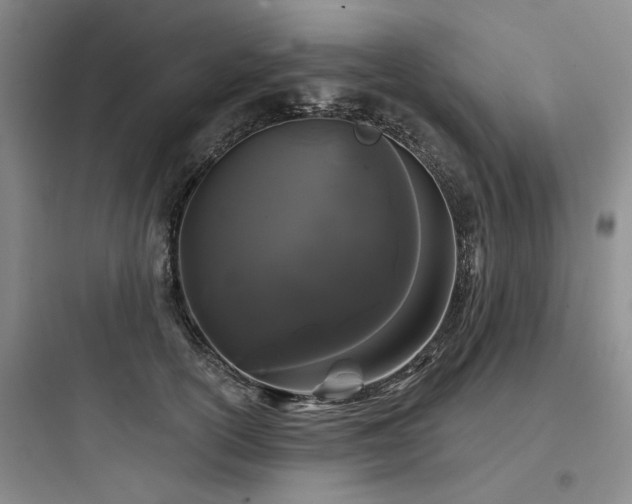 X0000097970754200803241235