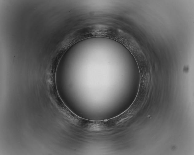 X0000097970755200803241235