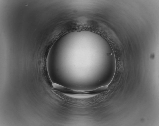 X0000097970756200803241235