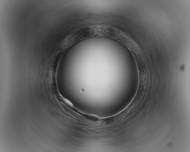 X0000097970757200803241235