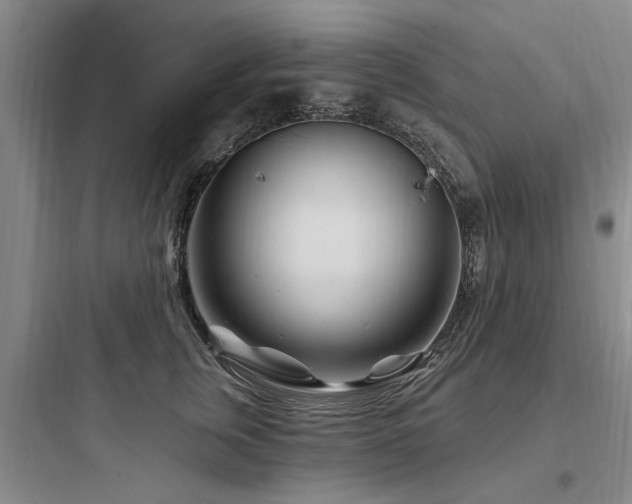 X0000097970759200803241235