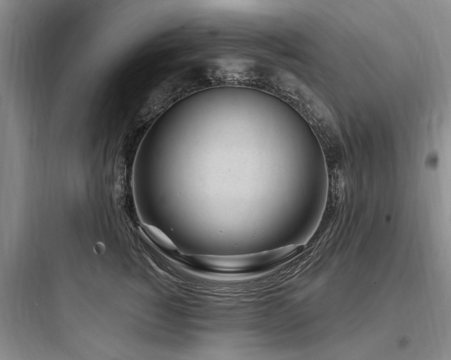 X0000097970760200803241235