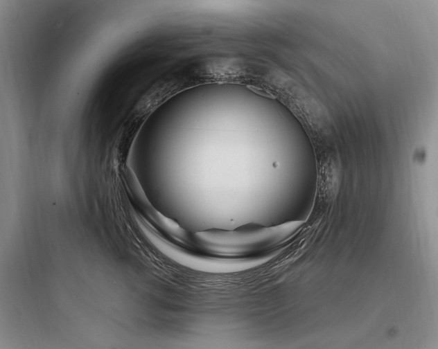 X0000097970762200803241235