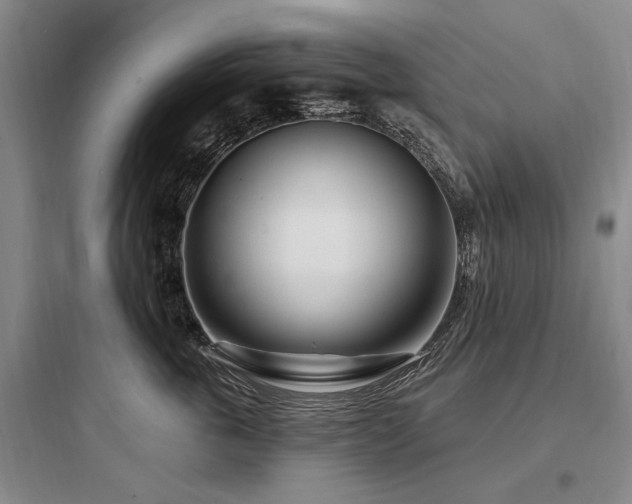 X0000097970763200803241235