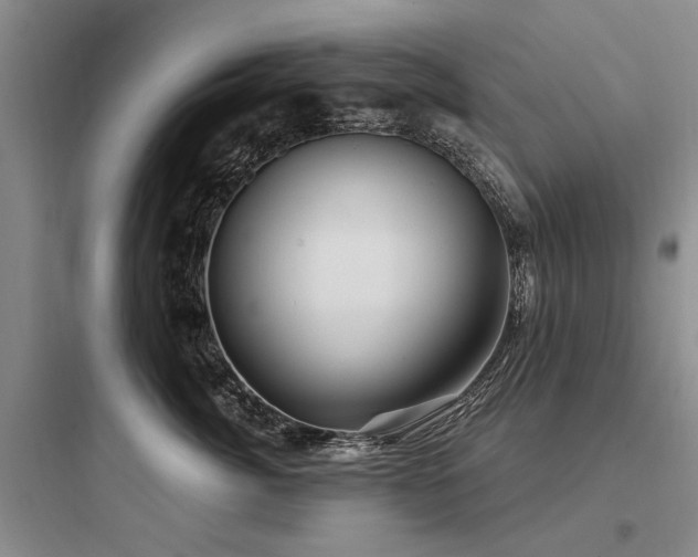 X0000097970764200803241235