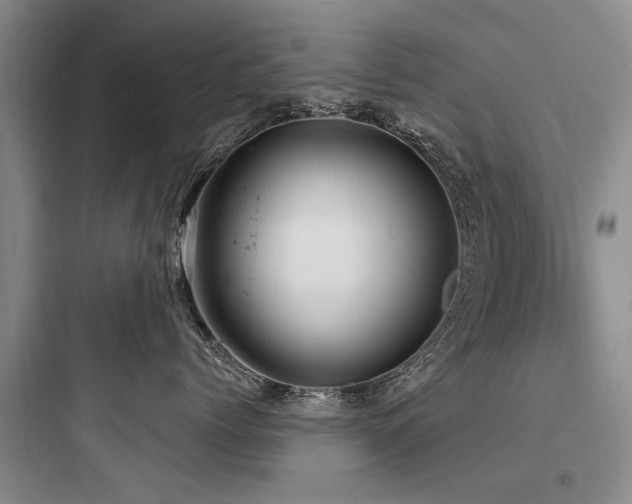 X0000097970768200803241235