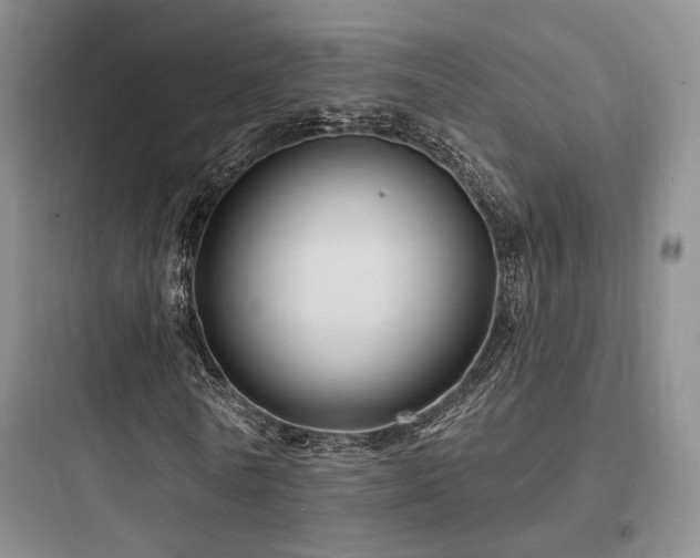 X0000097970770200803241235