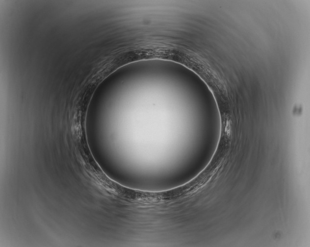 X0000097970771200803241235