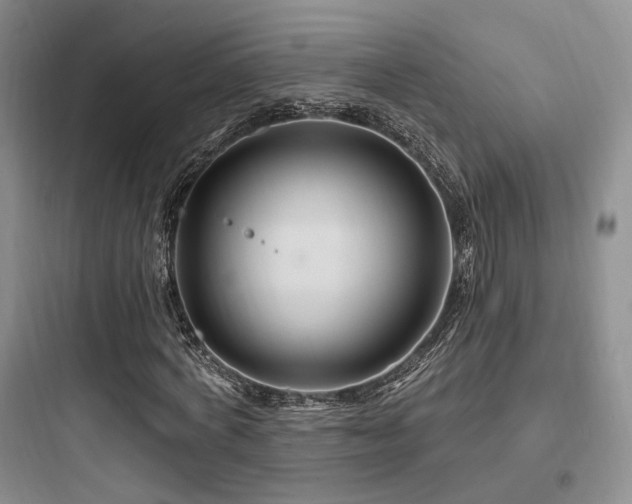 X0000097970772200803241234