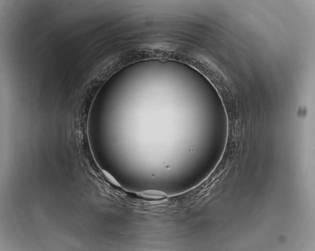 X0000097970774200803241234