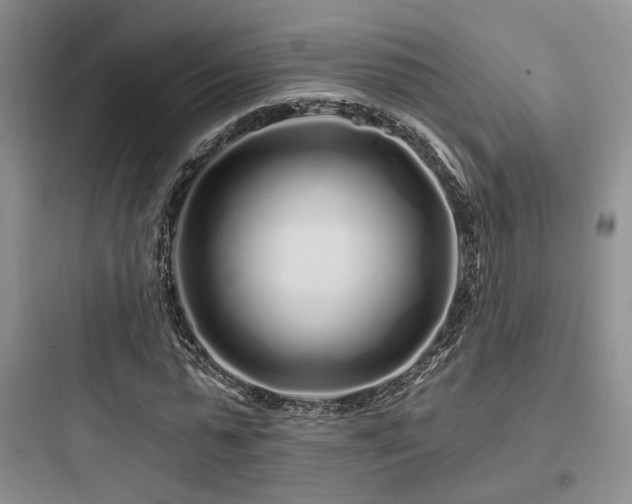 X0000097970775200803241234