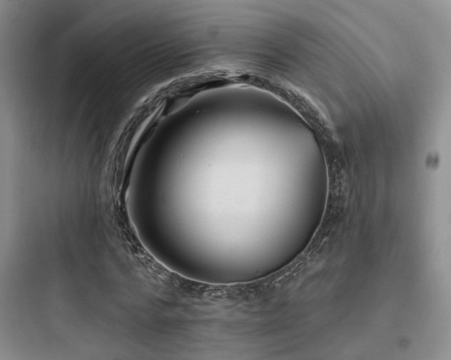 X0000097970776200803241234