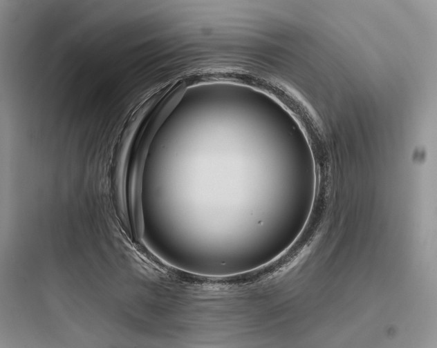 X0000097970777200803241234