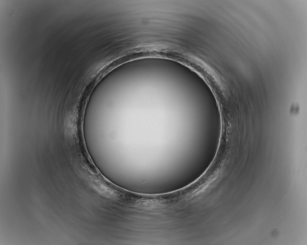 X0000097970778200803241234
