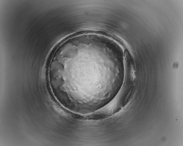 X0000097970779200803241234
