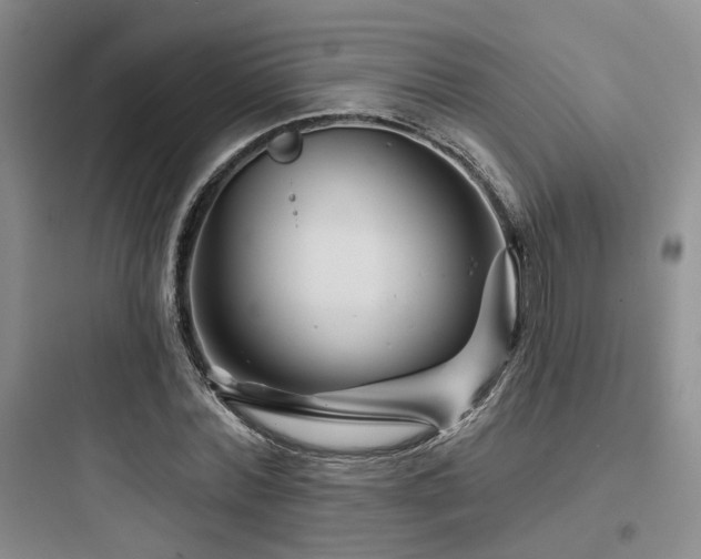 X0000097970780200803241234