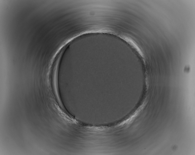 X0000097970781200803241234