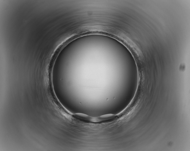 X0000097970782200803241234