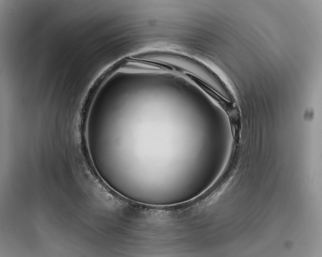 X0000097970783200803241234