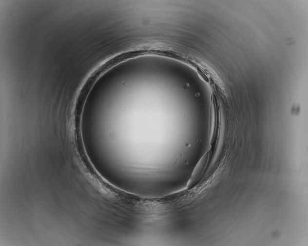 X0000097970784200803241234