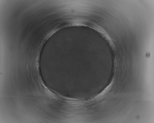 X0000097970785200803241234