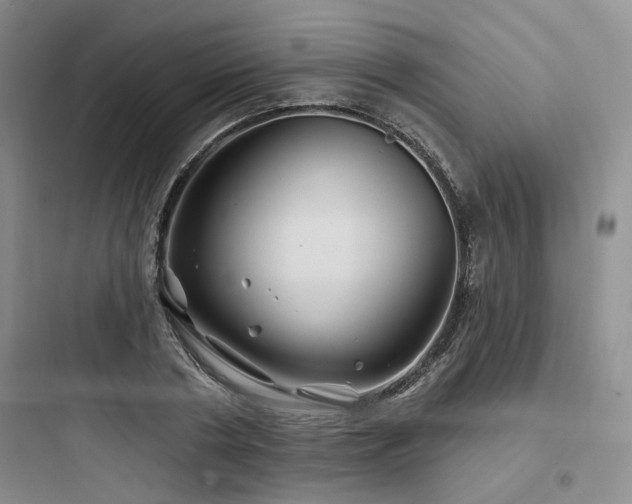 X0000097970786200803241234