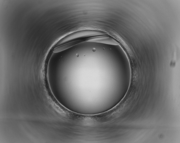 X0000097970787200803241234