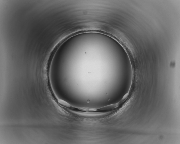 X0000097970789200803241234