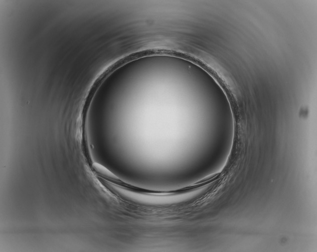 X0000097970791200803241234