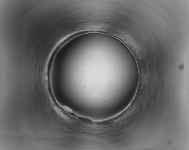 X0000097970792200803241234