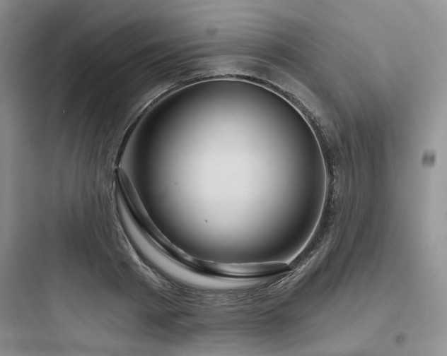 X0000097970793200803241234