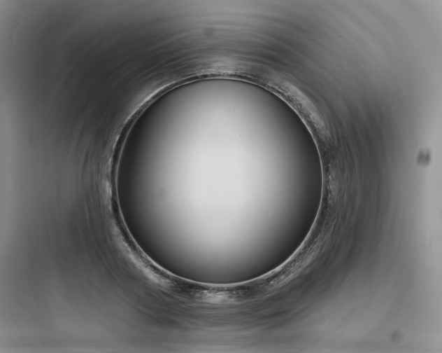 X0000097970794200803241234