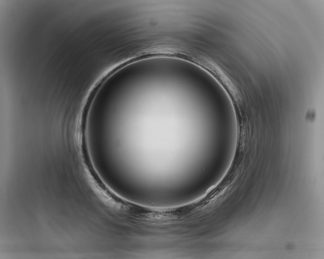 X0000097970795200803241234