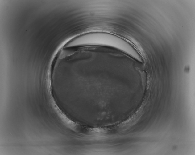 X0000097970796200803241234