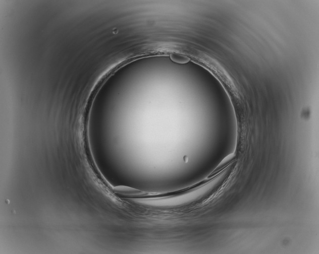 X0000097970798200803241234