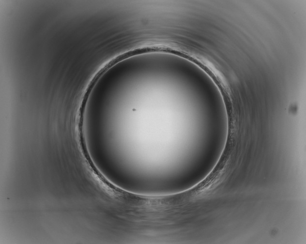 X0000097970799200803241234
