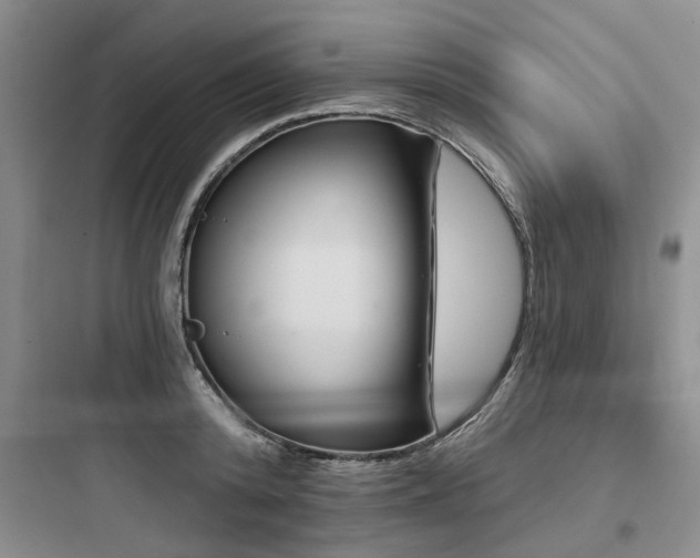 X0000097970800200803241234